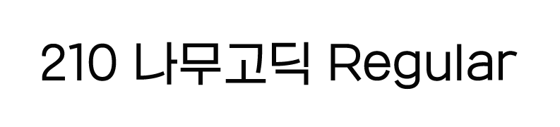 210 Namoogothic Regular