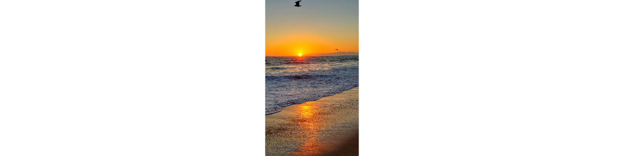 Photography Challenge