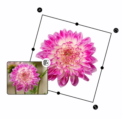 Picsart bg remover API