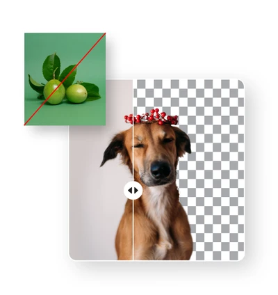 remove background easily