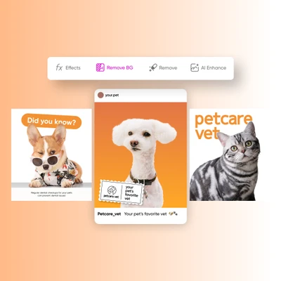 white background edits online