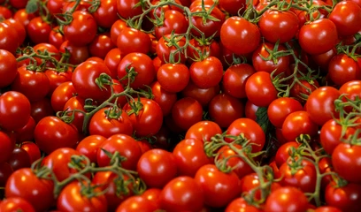 Let’s,paint,the,feed,red!
From,glowing,sunsets,and,red,cars,to,strawberries,,lipstick,,flowers,,or,street,art,—,capture,anything,that,celebrates,the,color,red.,Objects,,clothes,,food,,lights,—,if,it’s,red,,it,counts.,Fill,your,frame,with,this,bold,,passionate,color,and,make,it,stand,out. Let’s,paint,the,feed,red!
From,glowing,sunsets,and,red,cars,to,strawberries,,lipstick,,flowers,,or,street,art,—,capture,anything,that,celebrates,the,color,red.,Objects,,clothes,,food,,lights,—,if,it’s,red,,it,counts.,Fill,your,frame,with,this,bold,,passionate,color,and,make,it,stand,out.