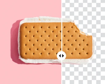 background remover tool in Picsart photo editor