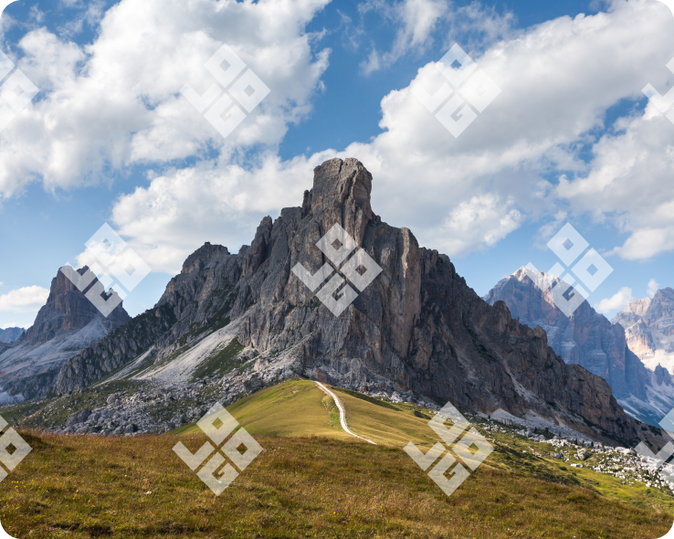 watermark with logo 1