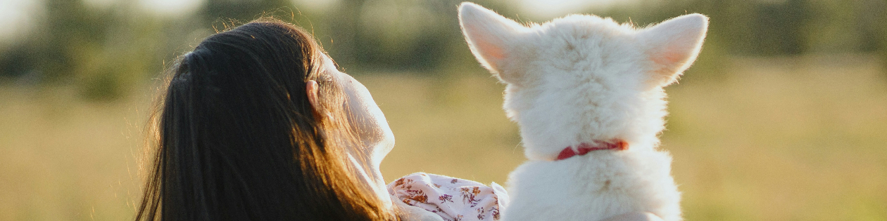 Photography Challenge