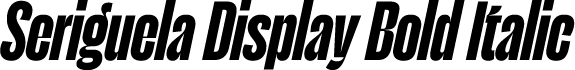 Seriguela Display Bold It